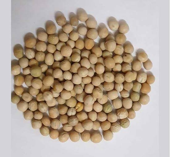Bazar Nao Dubli Boot 50kg